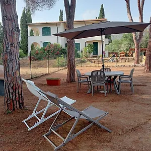 Riccio Di Mare Casa vacanze
